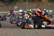 DSC_0293 (2)